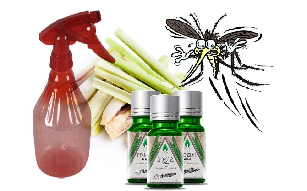 Tinh dầu đuổi muỗi: Cách làm tinh dầu đuổi muỗi dễ dàng